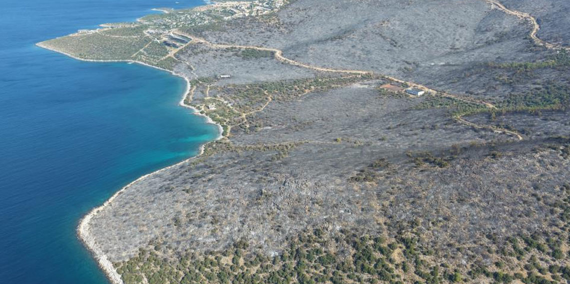 Yeşille maviyi orman yangını ayırdı