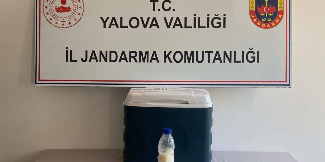 5 milyon dolarlık akrep zehri Yalova’da yakalandı