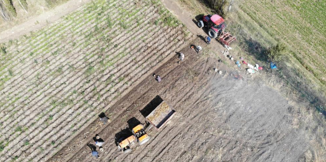 Bayburt'ta ÇKS kayıtları askıya çıktı! Çiftçiler için itiraz süreci başladı