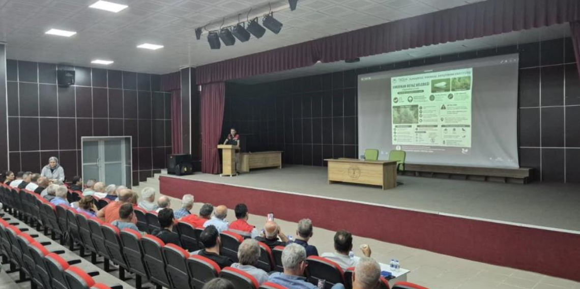 Rize'de tarım alanlarını istila eden Amerikan Beyaz Kelebeği için mücadele başladı
