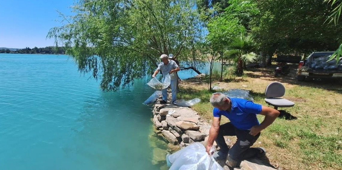 400 bin balık yavrusu baraj gölünde bırakıldı