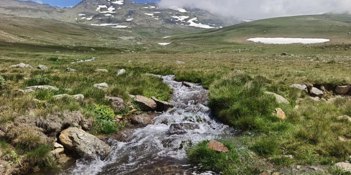 Ordu'nun yaylalarında yaz güzelliği