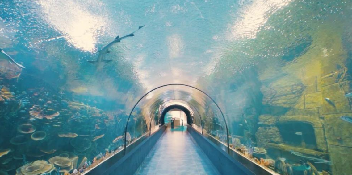 Tünel Akvaryum turistlerin gözdesi oldu
