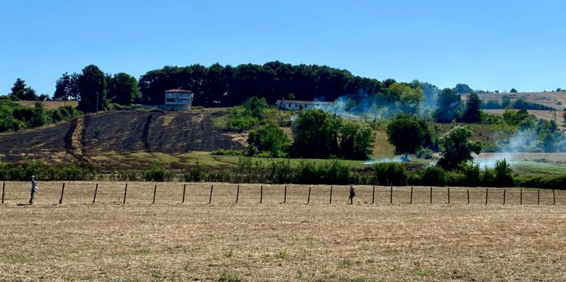 Samsun Alaçam'da arazi yangını paniğe neden oldu