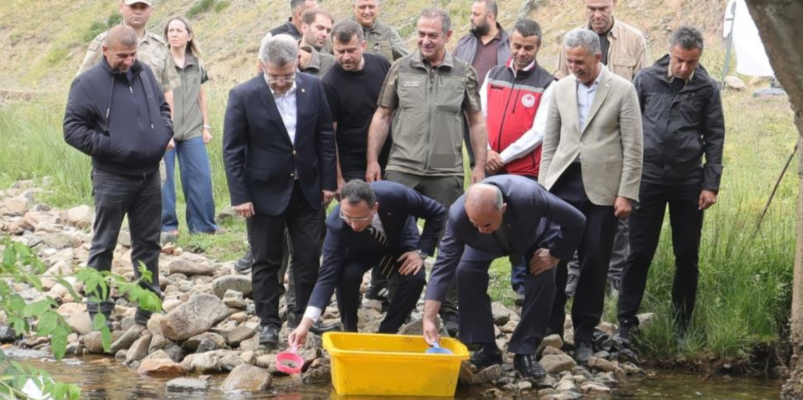 Ordu'da 35 bin doğal alabalık dereye bırakıldı