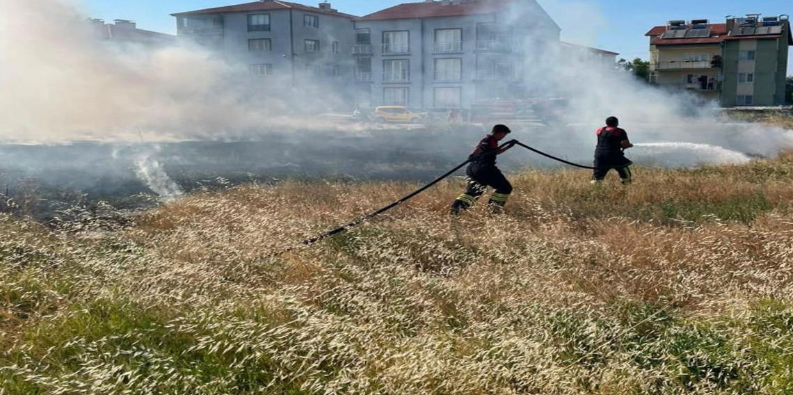 Rüzgarın etkisiyle büyüyen ot yangını evlere ulaşmadan söndürüldü