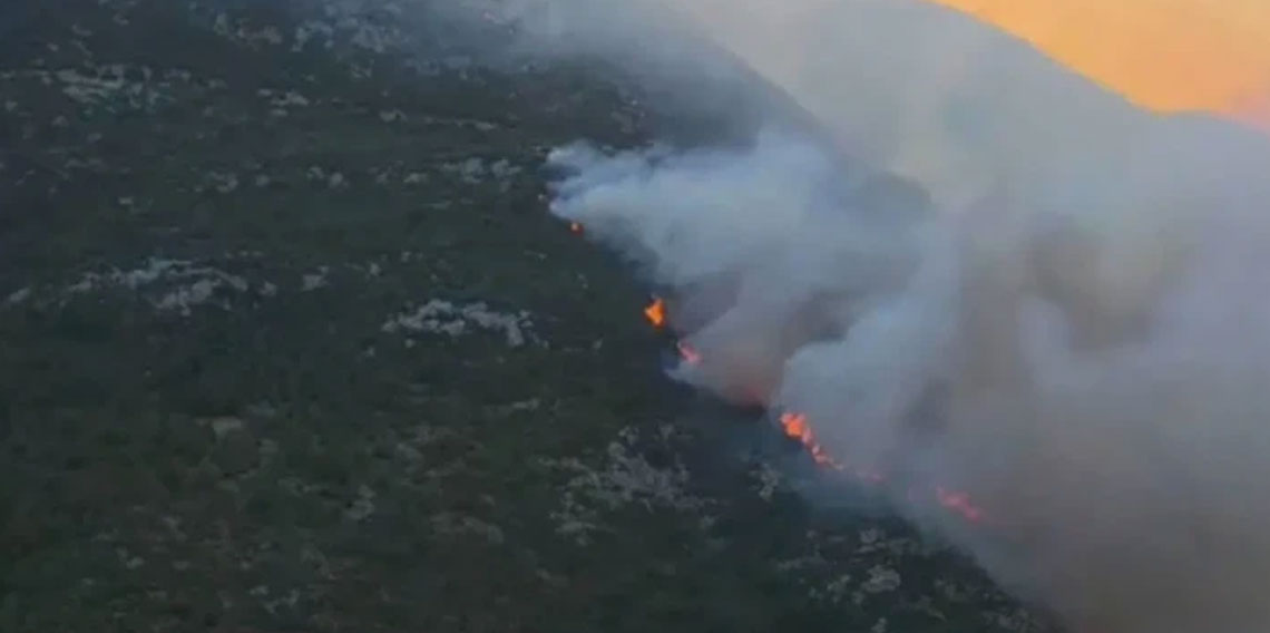 Antalya'nın Kaş ilçesinde ormanlık alanda yangın çıktı