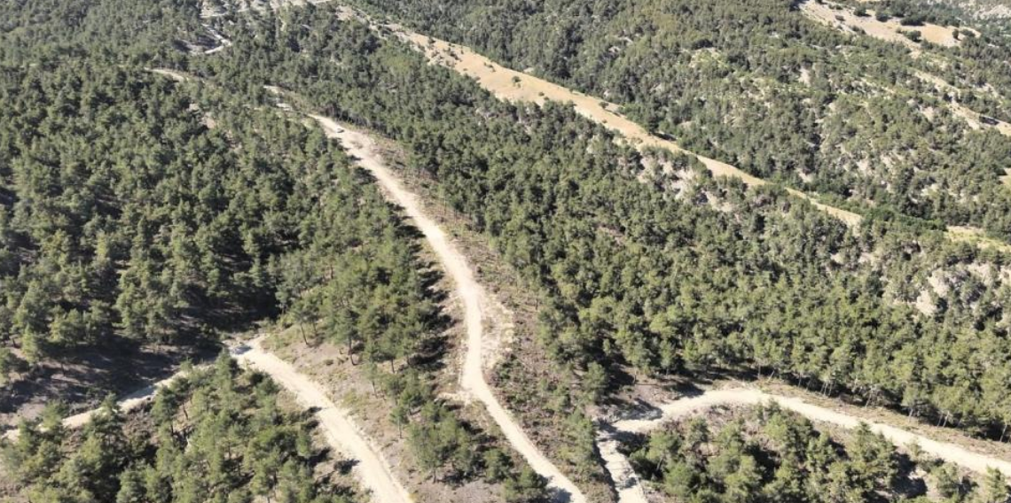 Samsun'da Orman Köylülerine 1 Milyar TL'yi Aşan Destek