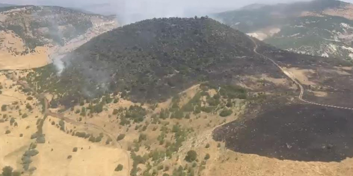 Elazığ’daki orman yangını kontrol altına alındı