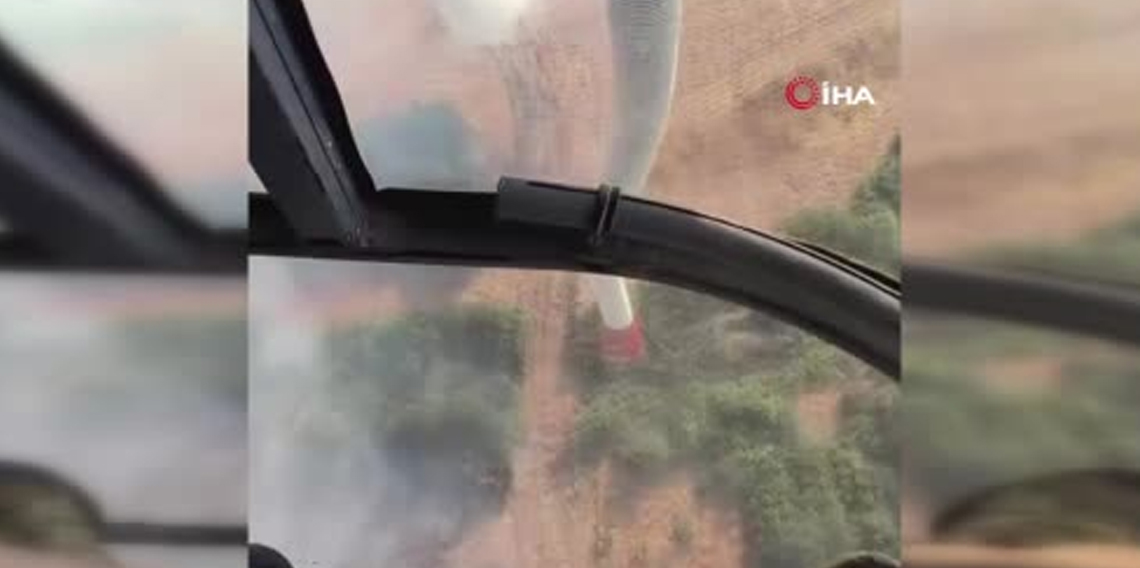 Orman Genel Müdürlüğü: 