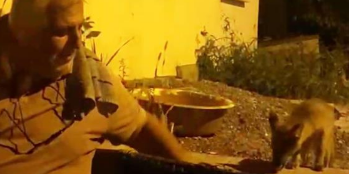 Zonguldak'ta Duygulandıran Dostluk! Evinin Önüne Gelen Tilkiyi Elleriyle Besliyor