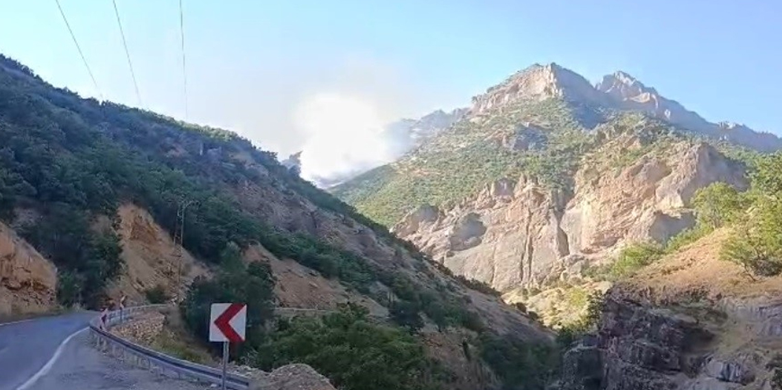 Munzur Vadisi Milli Parkı'nda örtü altı yangınına müdahale sürüyor