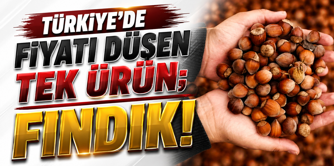Türkiye’de fiyatı düşen tek ürün; FINDIK!