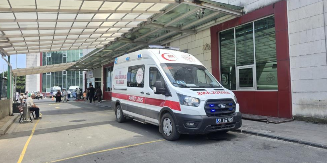 Ordu'da Yabani Mantar Alarmı! Mantar Yiyen Yaşlı Çift Hastaneye Kaldırıldı
