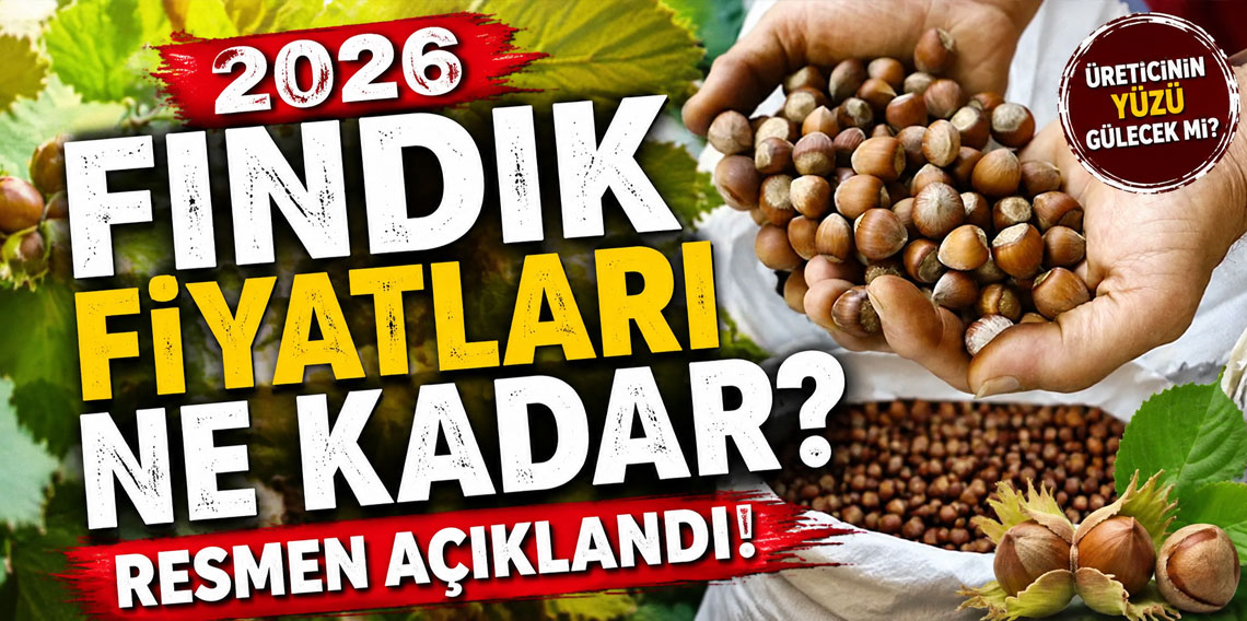 2026 Fındık Fiyatları ne kadar? Resmen açıklandı!