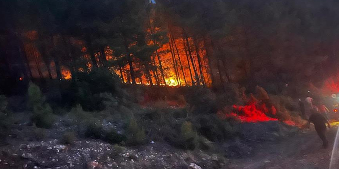 Alanya'da ormanlık alanda çıkan yangın kontrol altına alındı