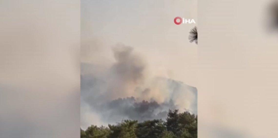 Bolu'daki orman yangını kontrol altına alındı