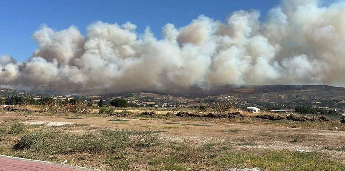 Uşak'ta meşelik ve makilik alanda çıkan yangın kontrol altına alındı