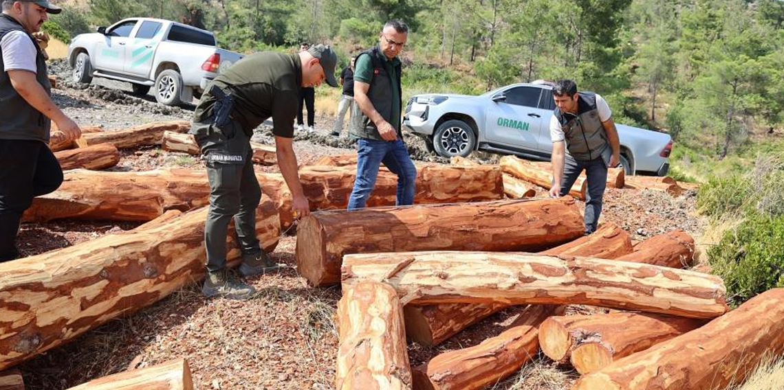 Antakya’da orman sahalarında standardizasyon ve üretim çalışmaları incelendi