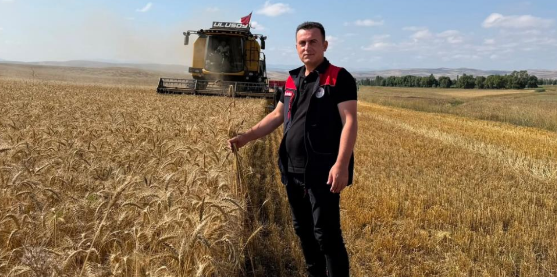 Aydıntepe’de hububat hasadı başladı: Biçerdöverler denetlendi