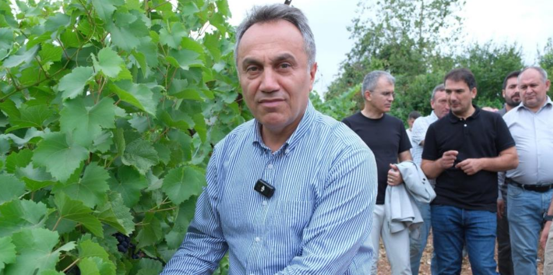 TOGÜ bağlarında sezonun ilk üzüm hasadı yapıldı