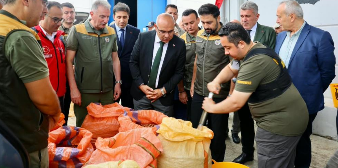 TMO, Giresun’da fındık alımına başladı