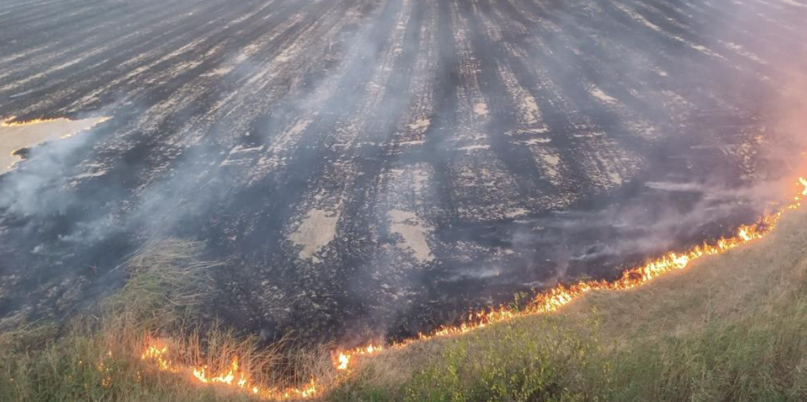 Kastamonu’da Örtü Yangını Paniği: 400 Dönüm Tarım Arazisi Zarar Gördü