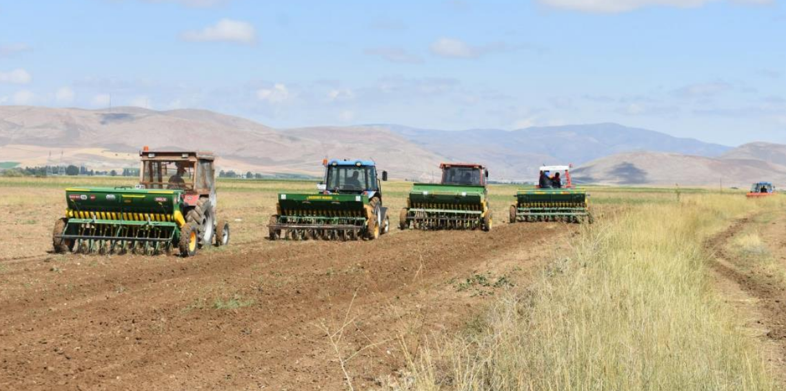 Bayburt’ta Hayvancılığa Destek: Rüştü Köyünde 50 Dekarlık Suni Mera Oluşturuldu
