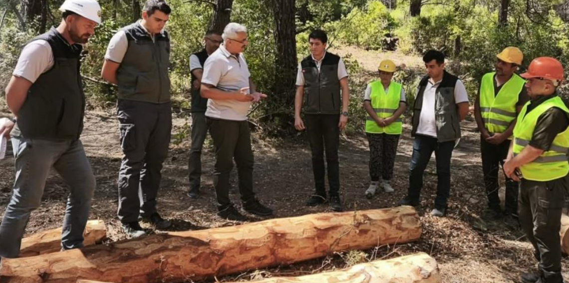 Soma ormanlarında yangın riskine karşı yoğun çalışma