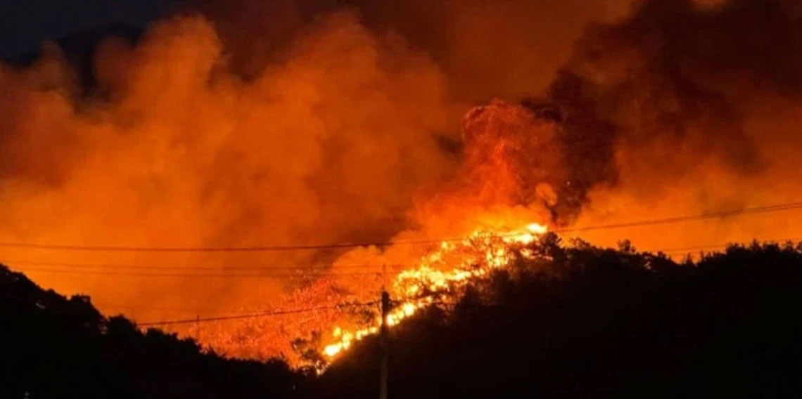 Muğla'nın Fethiye ilçesinde orman yangını yerleşim yerine ulaştı