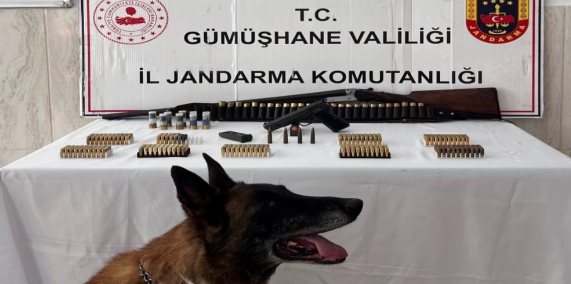 Gümüşhane’de Jandarmadan Silah Operasyonu! Evden Ruhsatsız Tabanca ve Yüzlerce Fişek Çıktı