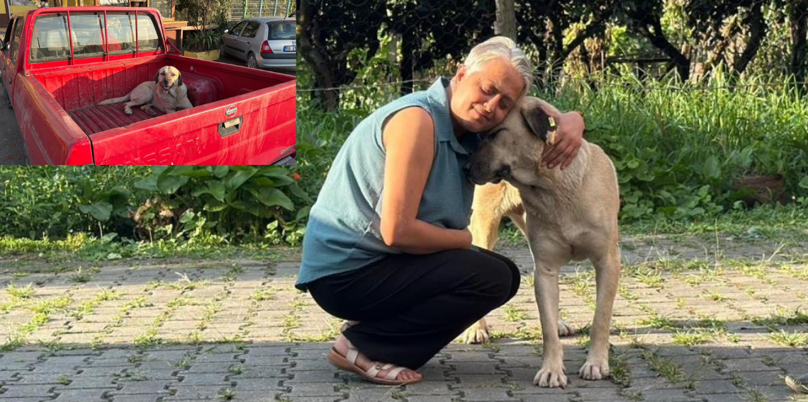 Bir kamyonetin kasasında başlayan yolculuk, sıra dışı bir dostluğa dönüştü