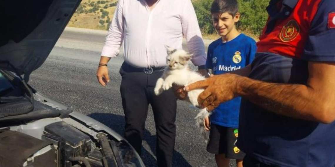Otomobilin motoruna sıkışan kedi kurtarıldı