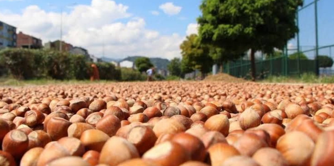 Fındık ihracatında miktarda yüzde 23 düşüş, değerde ise yüzde 19 artış