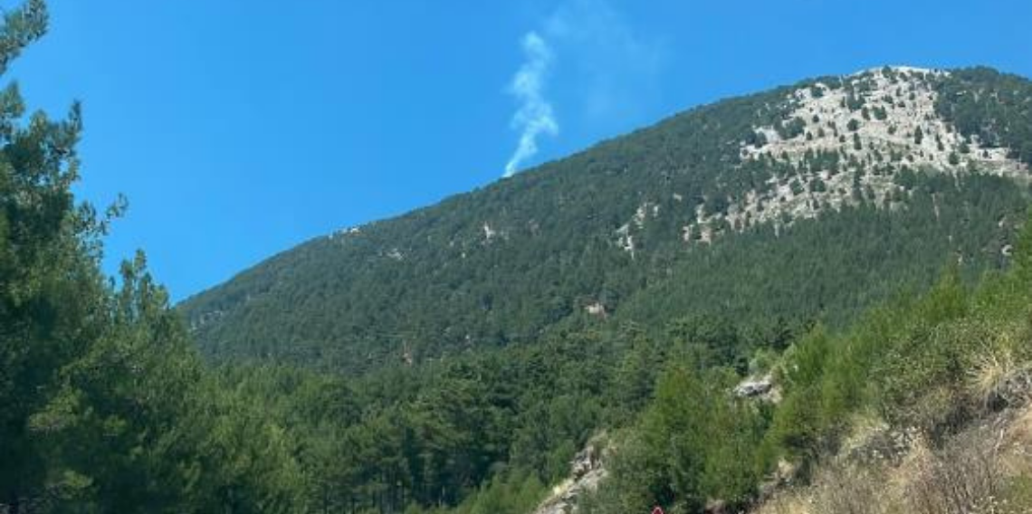 Fethiye'de orman yangını