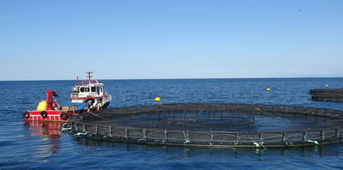 Trabzon’da 20 ülkeden öğrenci Karadeniz’e açıldı