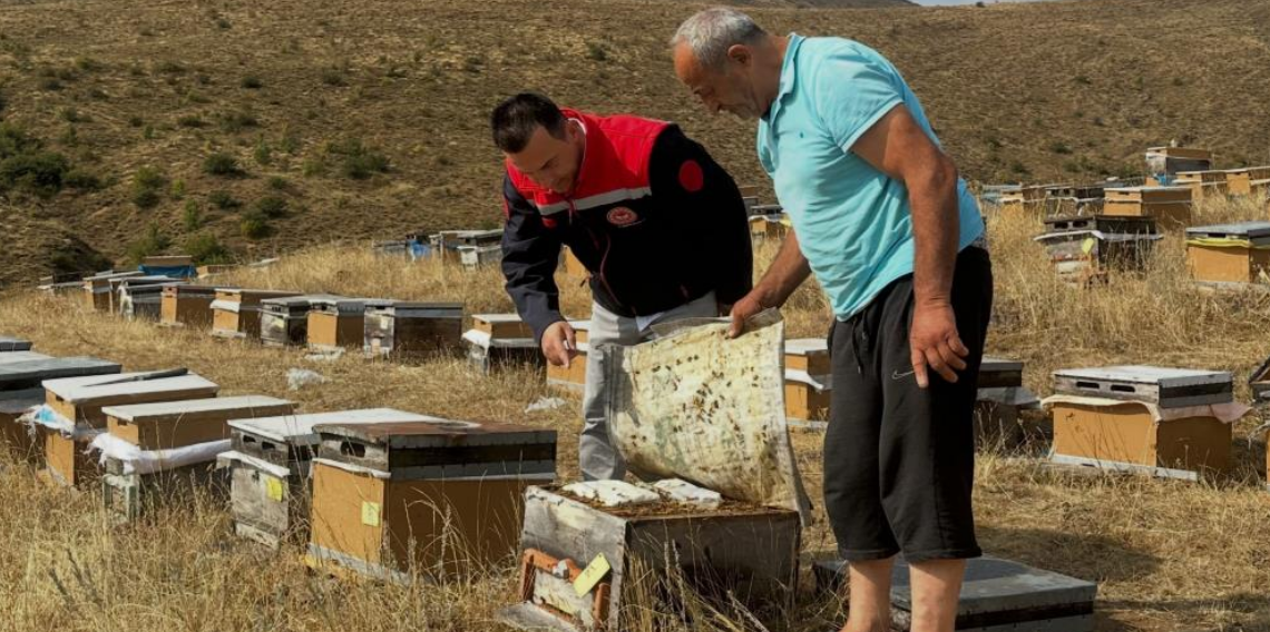 Aydıntepe’de 2026 yılı arılı kovan tespitleri başladı
