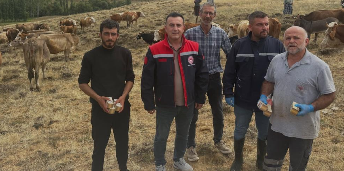 Aydıntepe’de hayvan yetiştiricilerine yonca zehirlenmesi uyarısı