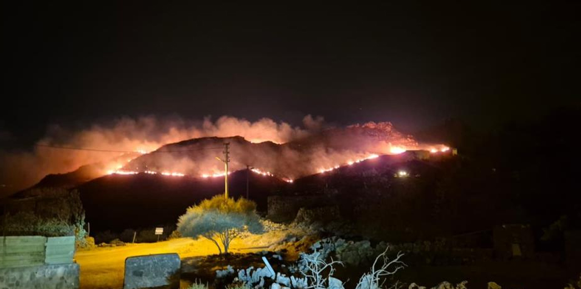Bodrum'da makilik alanda yangın: 