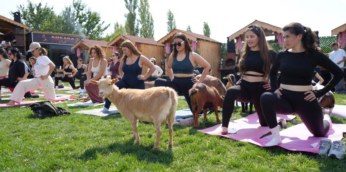 Ankara'da spora cüce keçiler de eşlik etti