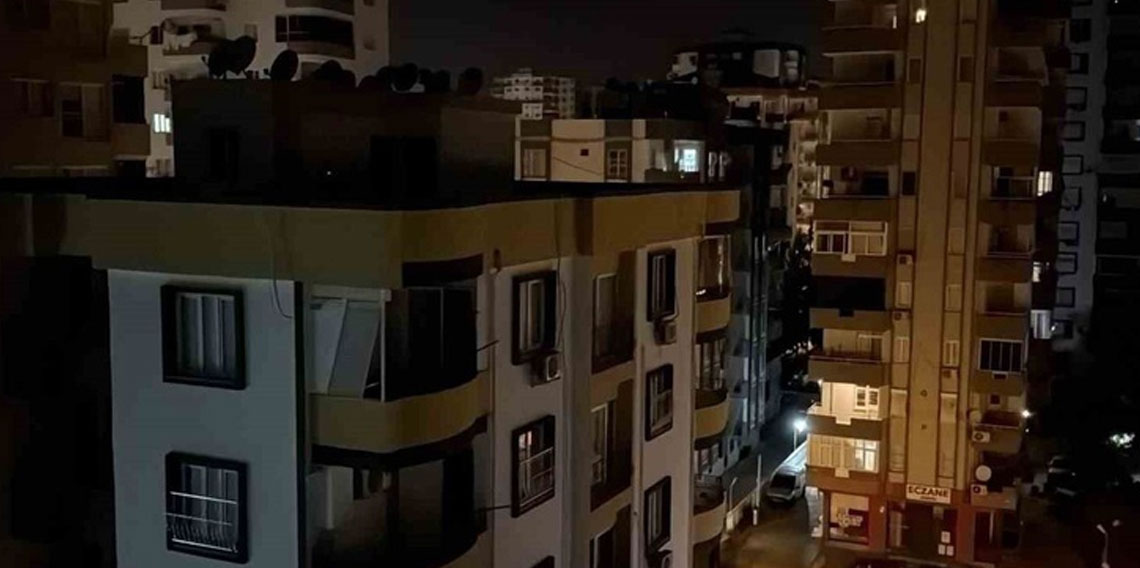 Adana'da cırcır böceği çilesi! 100 desibellik ses vatandaşları geceleri uyutmuyor