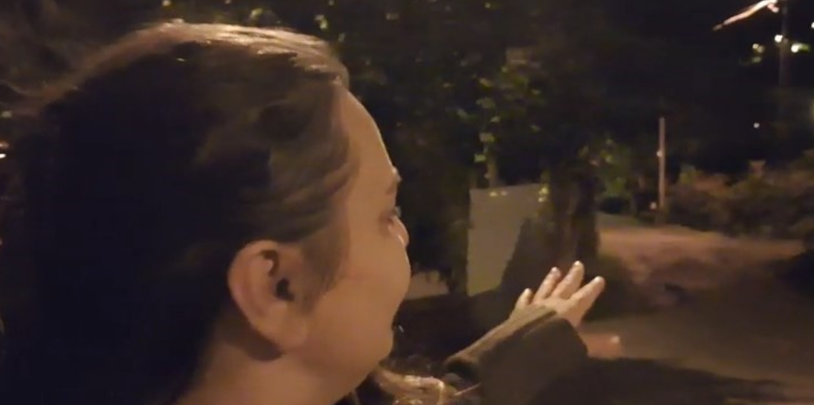 Mahalleye inen ayı, işe giden kadının karşısına çıktı
