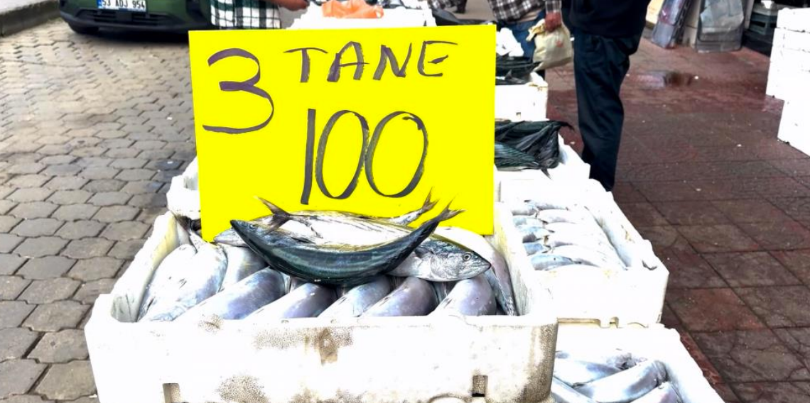 Rize'de palamutun 3 tanesi 100 TL'den satılıyor