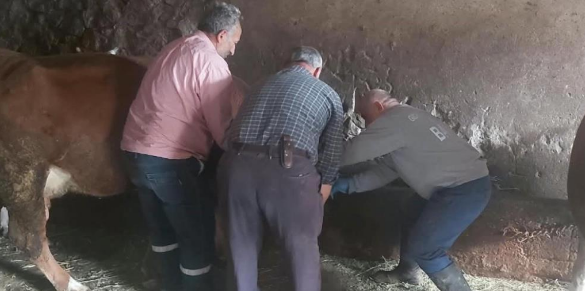 Aydıntepe’de yavru atık bildirimi üzerine harekete geçildi