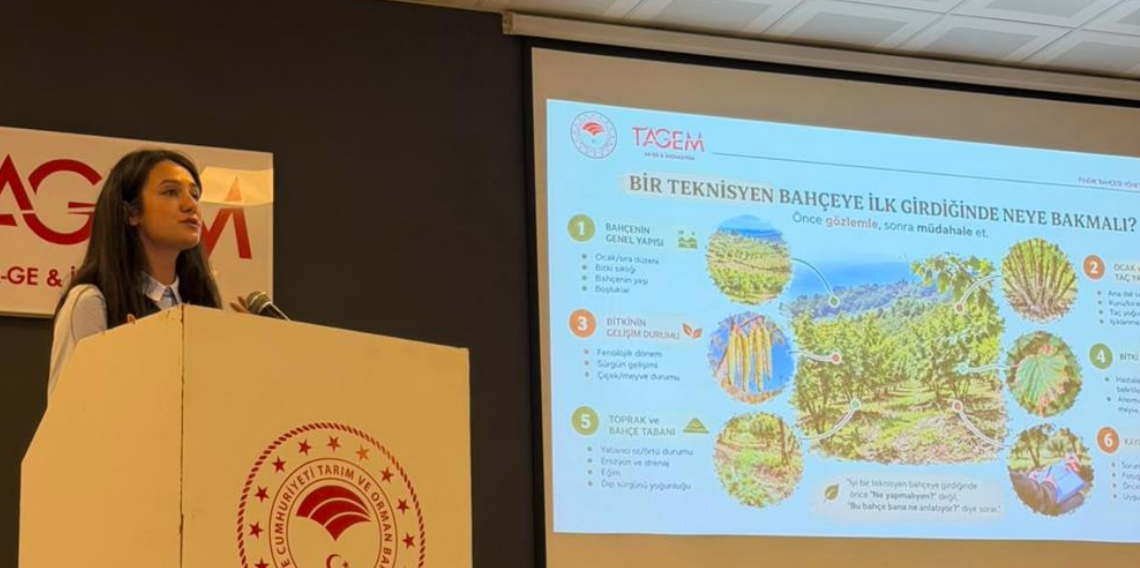 Giresun'da fındık bakım teknisyeni eğitimleri başladı