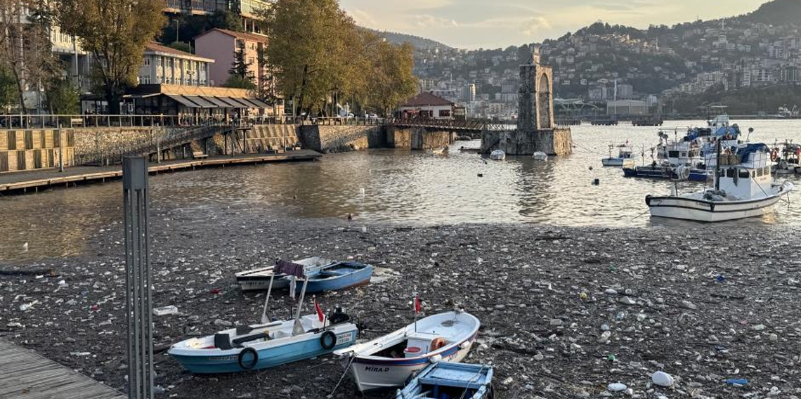 Limanda şaşırtan görüntü