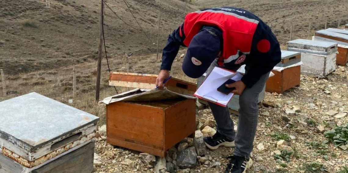 Bayburt’ta arılı kovan desteği için saha kontrolleri sürüyor