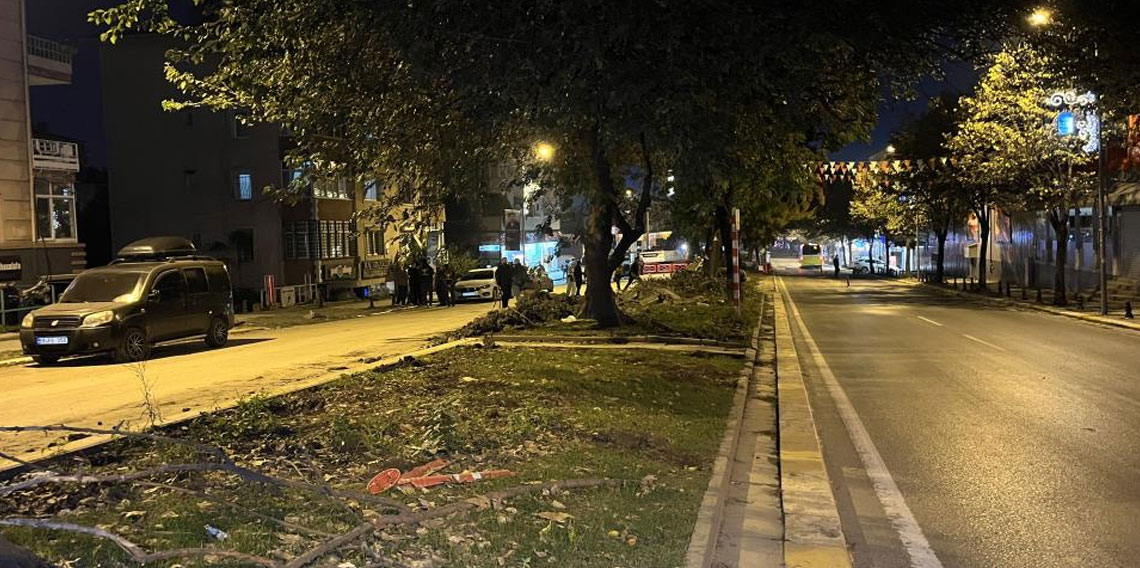 Eyüpsultan'da ağaç kesimi iddiaları sonrası vatandaşlardan İBB'ye tepki