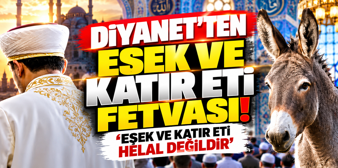 Diyanet'ten eşek ve katır eti fetvası! ''Eşek ve katır eti helal değildir''