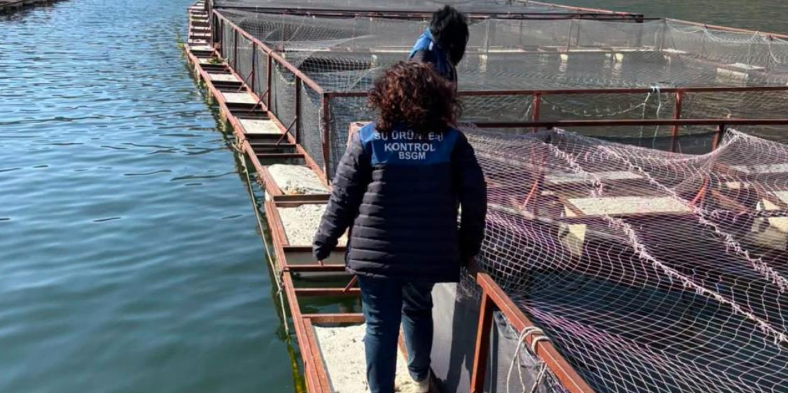 Ordu’da alabalık tesislerine sıkı denetim! Türk somonu üretimine katkı sağlıyor